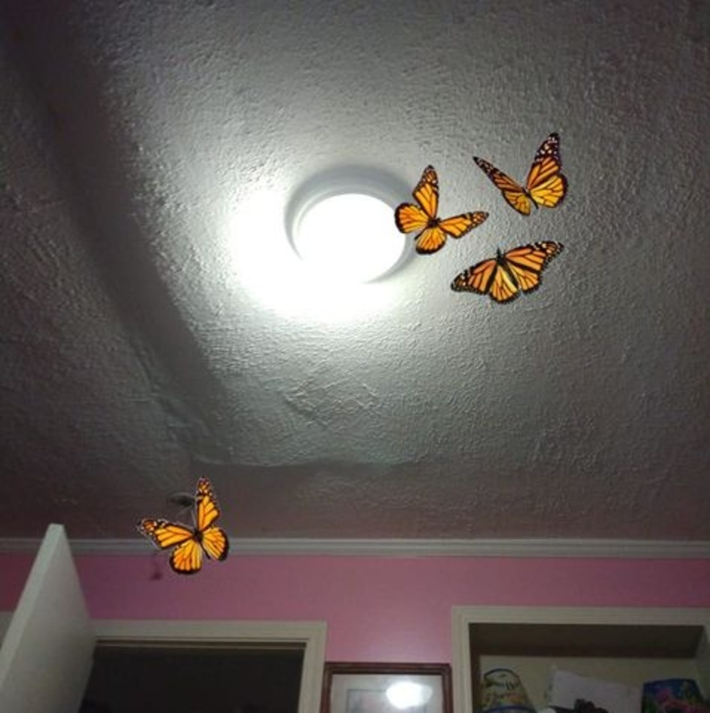 Meet your Posher, Katherine